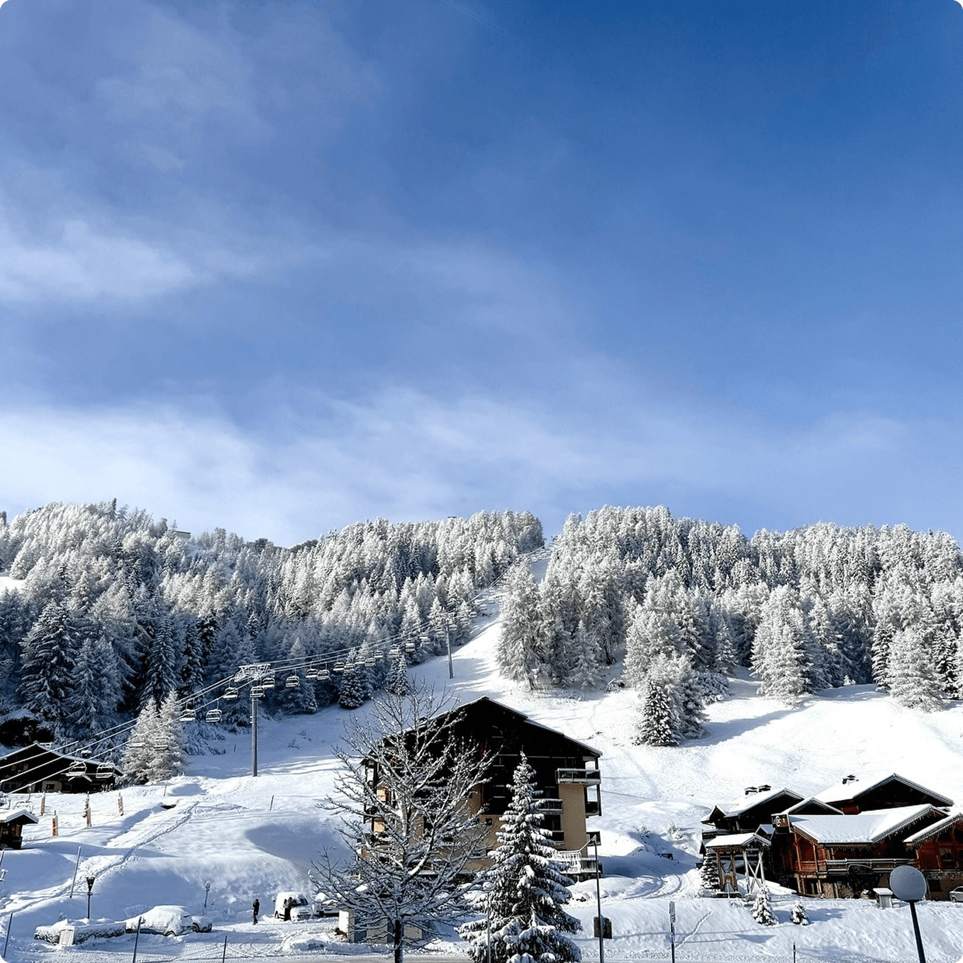 Alpoholics Chalet Montem